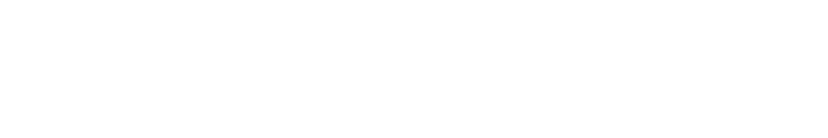 North Fighter